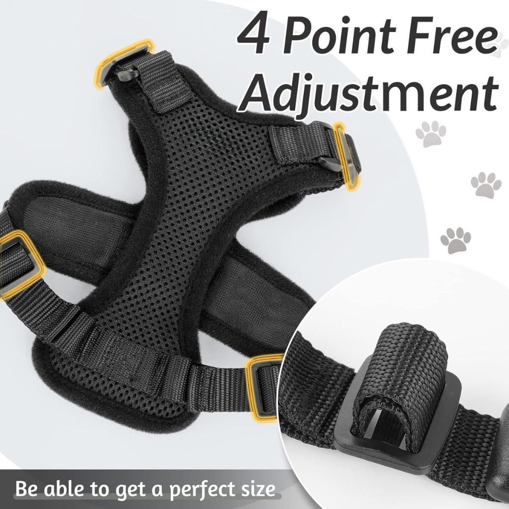 Felinoir™ Cat Harness with Leash