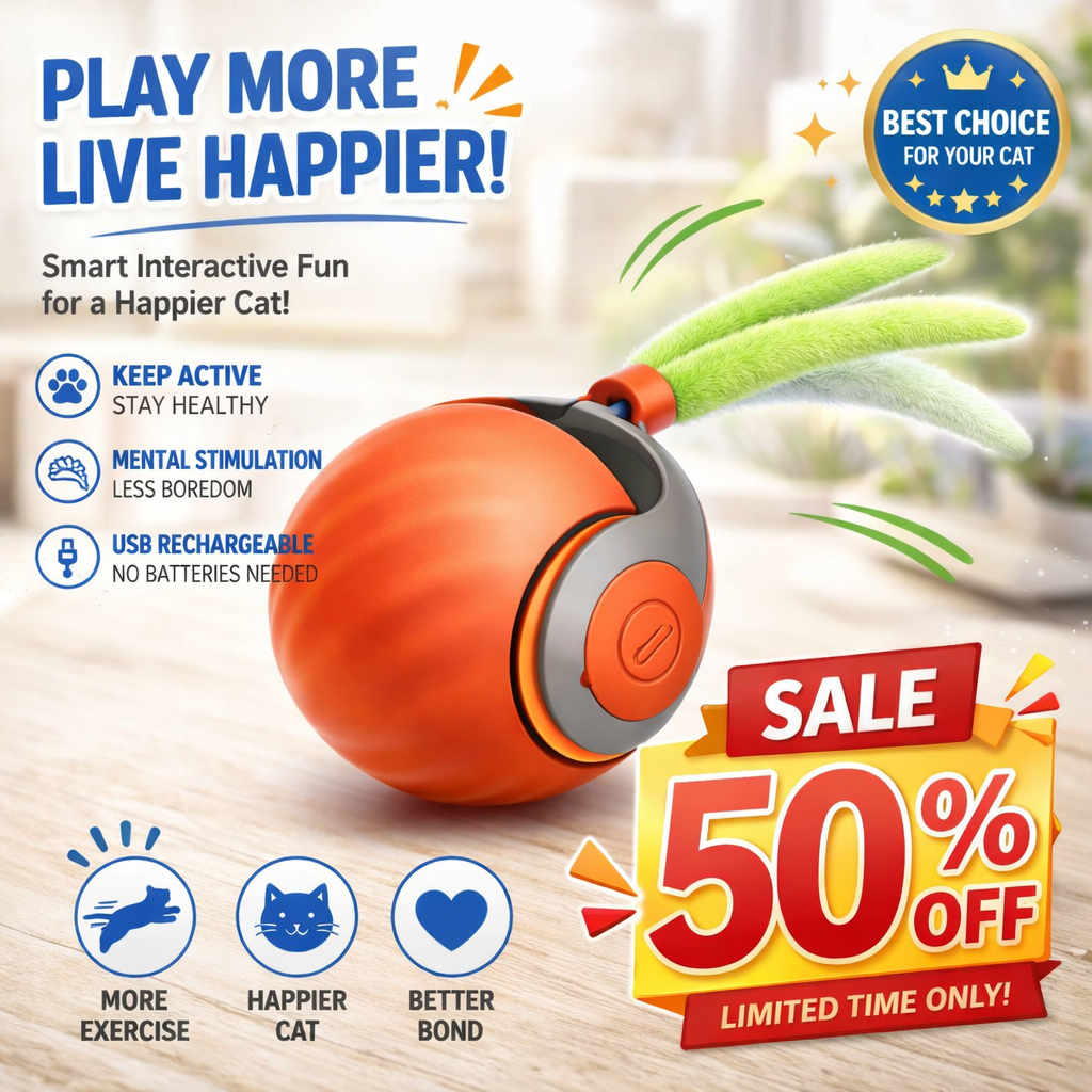 Felinoir™ Interactive Cat Toys