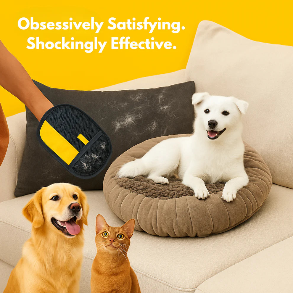#1 Best-Selling Pet Cleaning Glove