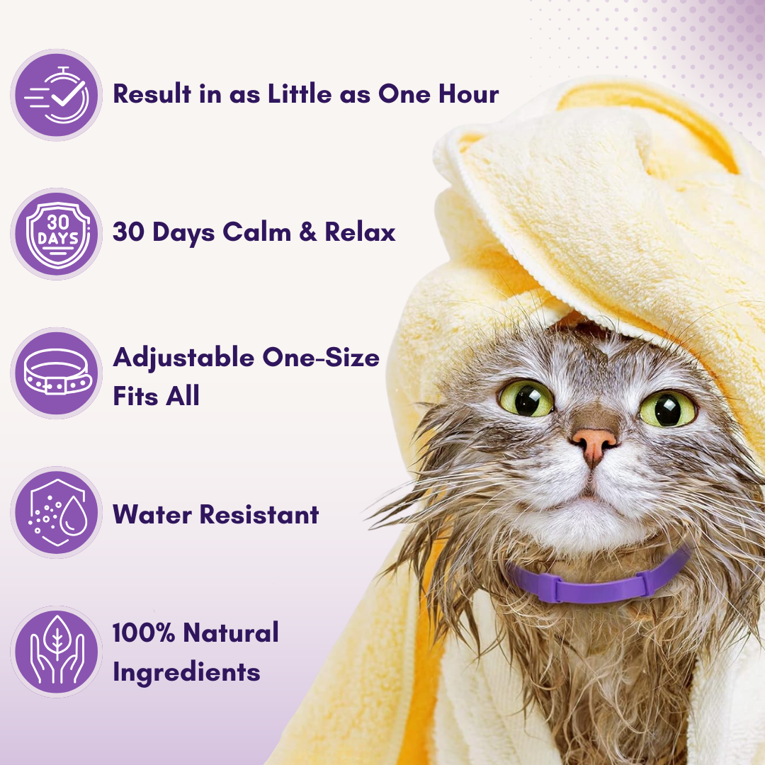 Felinoir™ CalmFurry Pheromone Collar