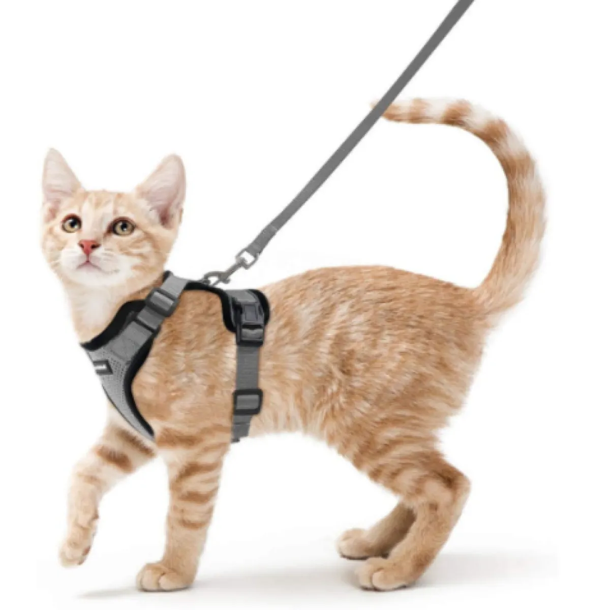 Felinoir™ Cat Harness with Leash