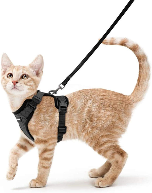 Felinoir™ Cat Harness with Leash