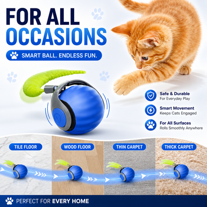 Felinoir™ Interactive Cat Toys