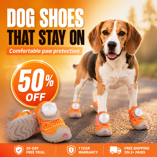 Felinoir™ Comfy Paw Shoes (2 Pairs – 4 Pieces)