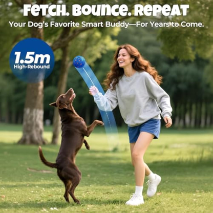 Felinoir SmartPlay Ball™