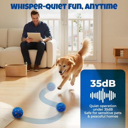 Felinoir SmartPlay Ball™