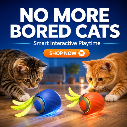 Felinoir™ Interactive Cat Toys