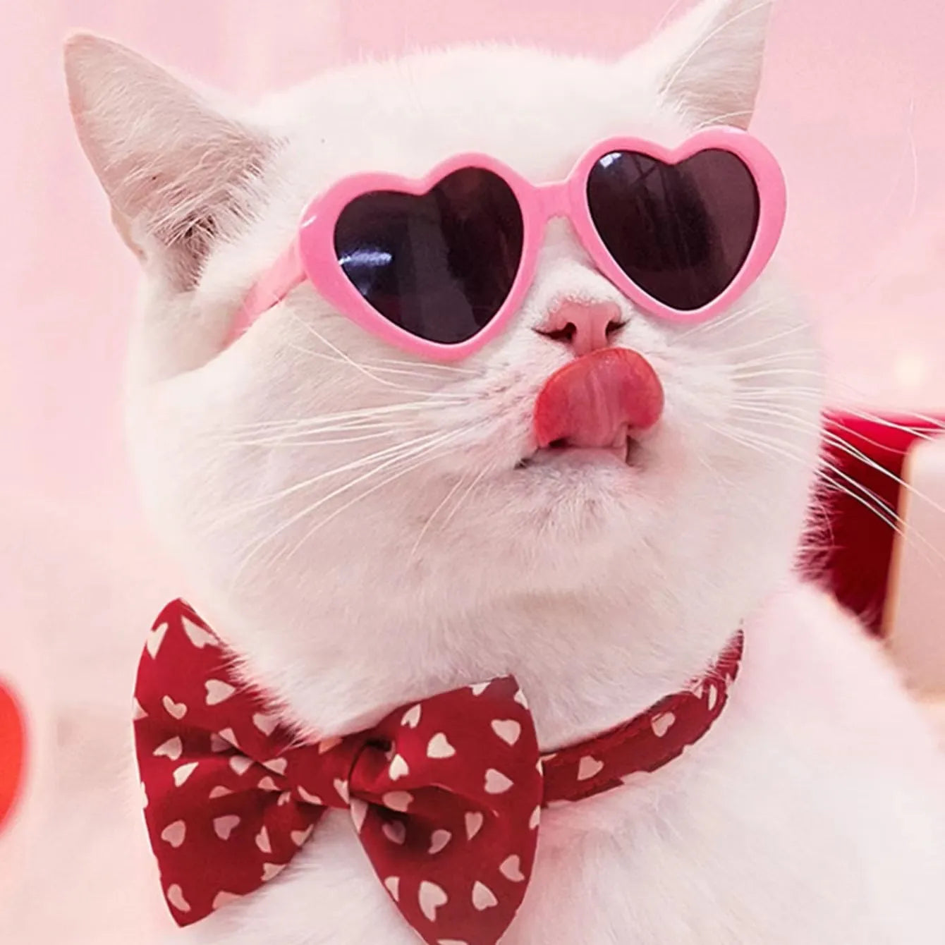 Pet Doll Sunglasses