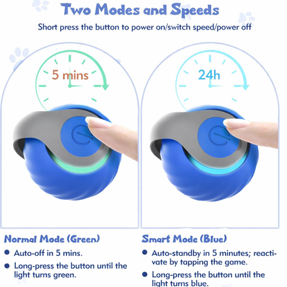 Interactive Cat Toys