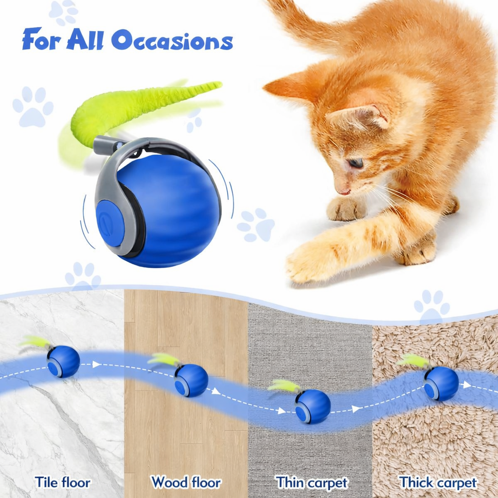 Interactive Cat Toys