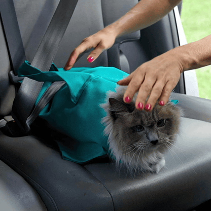 Buy 1 Get 1 FREE: Felinoir Cat Carrier