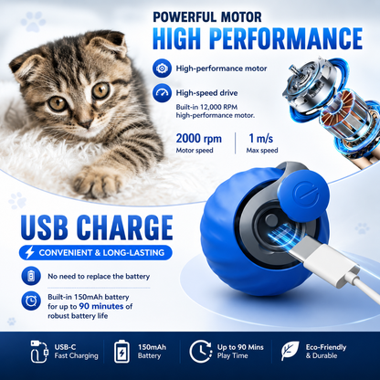 Felinoir™ Interactive Cat Toys