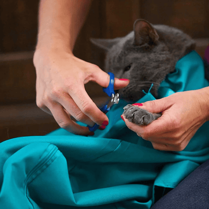Buy 1 Get 1 FREE: Felinoir Cat Carrier