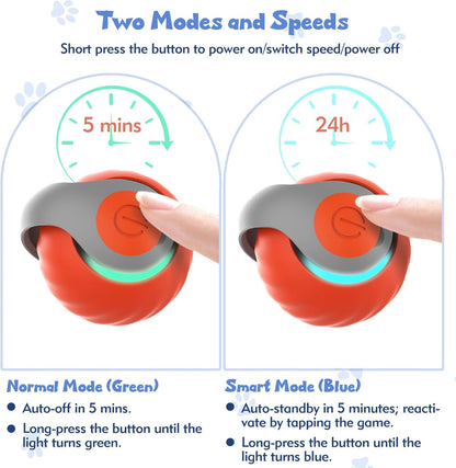 Felinoir™ Interactive Cat Toys