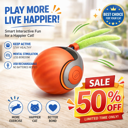 Felinoir™ Interactive Cat Toys