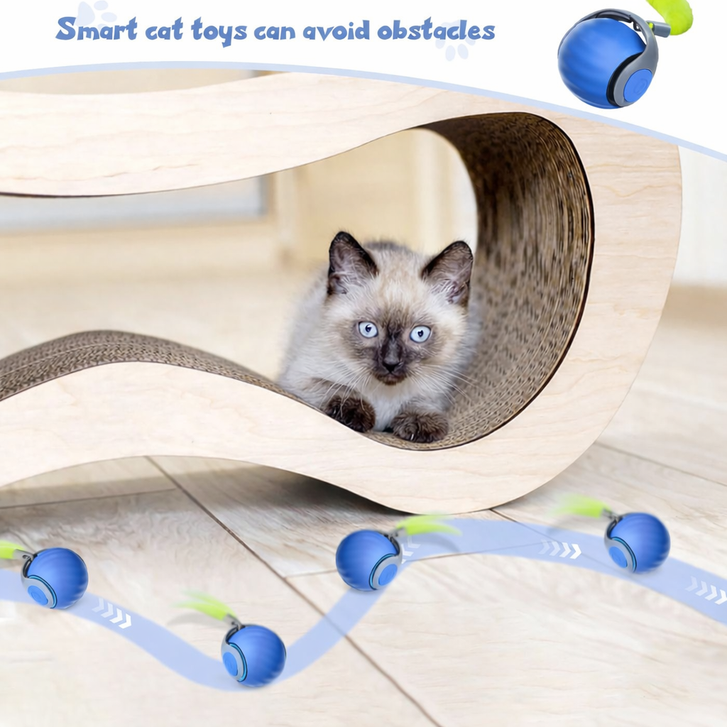 Interactive Cat Toys