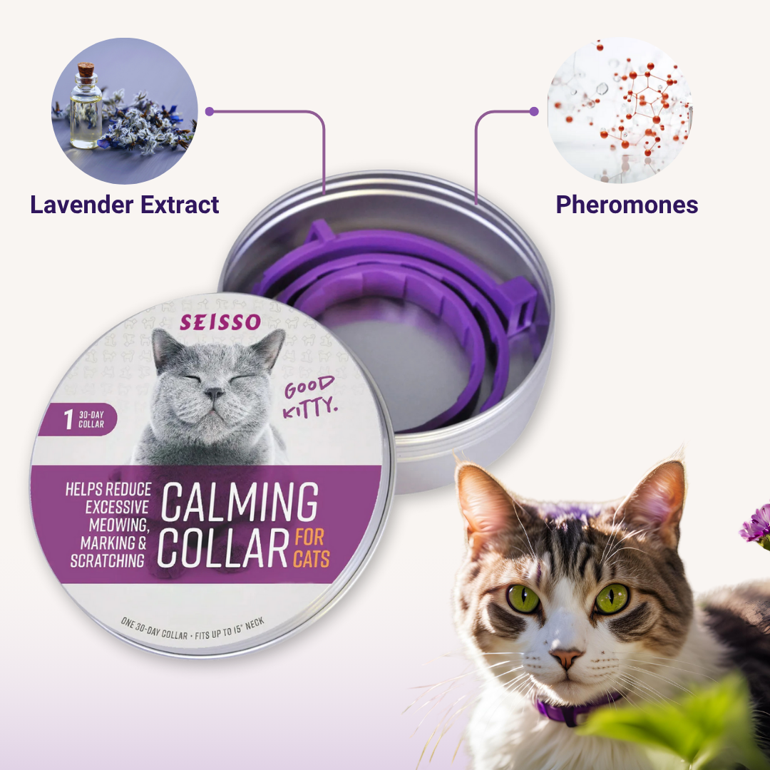 Felinoir™ CalmFurry Pheromone Collar