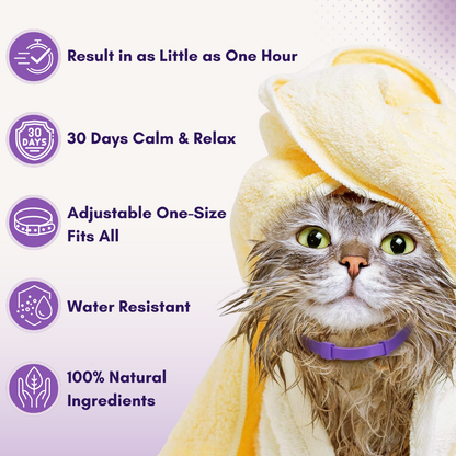 Felinoir™ CalmFurry Pheromone Collar