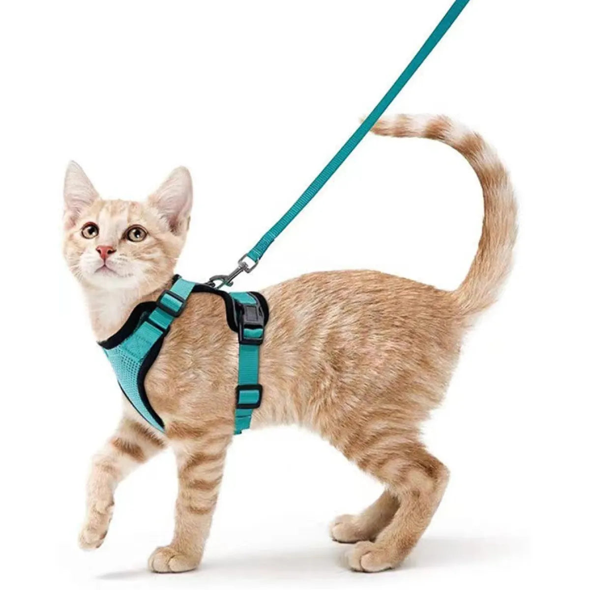 Felinoir™ Cat Harness with Leash