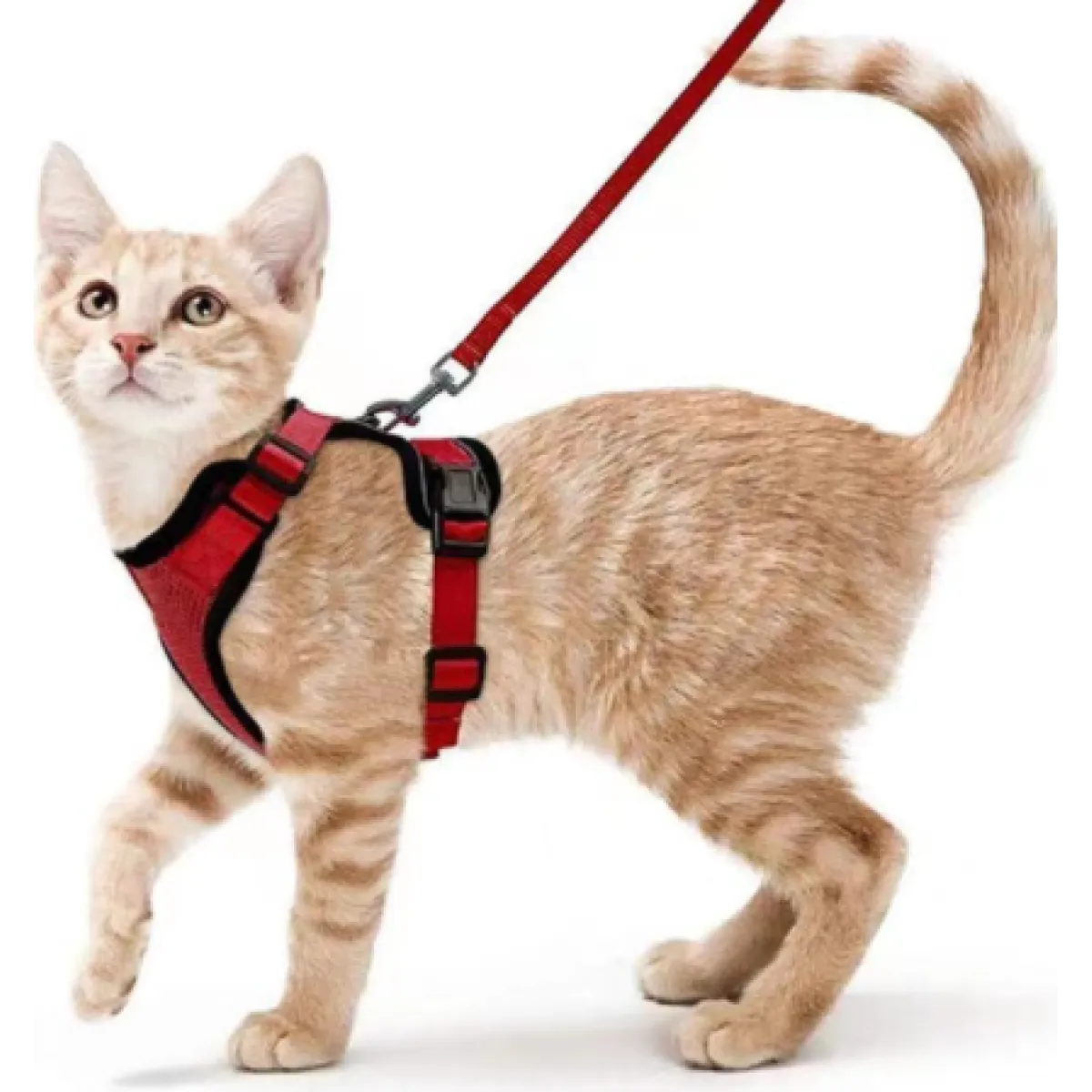 Felinoir™ Cat Harness with Leash