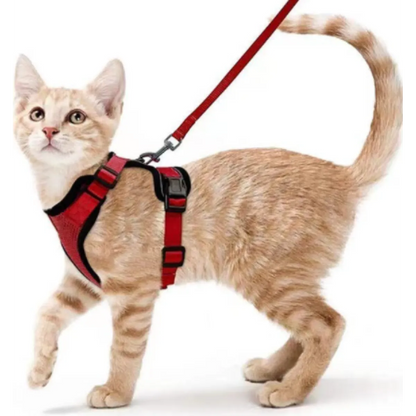 Felinoir™ Cat Harness with Leash