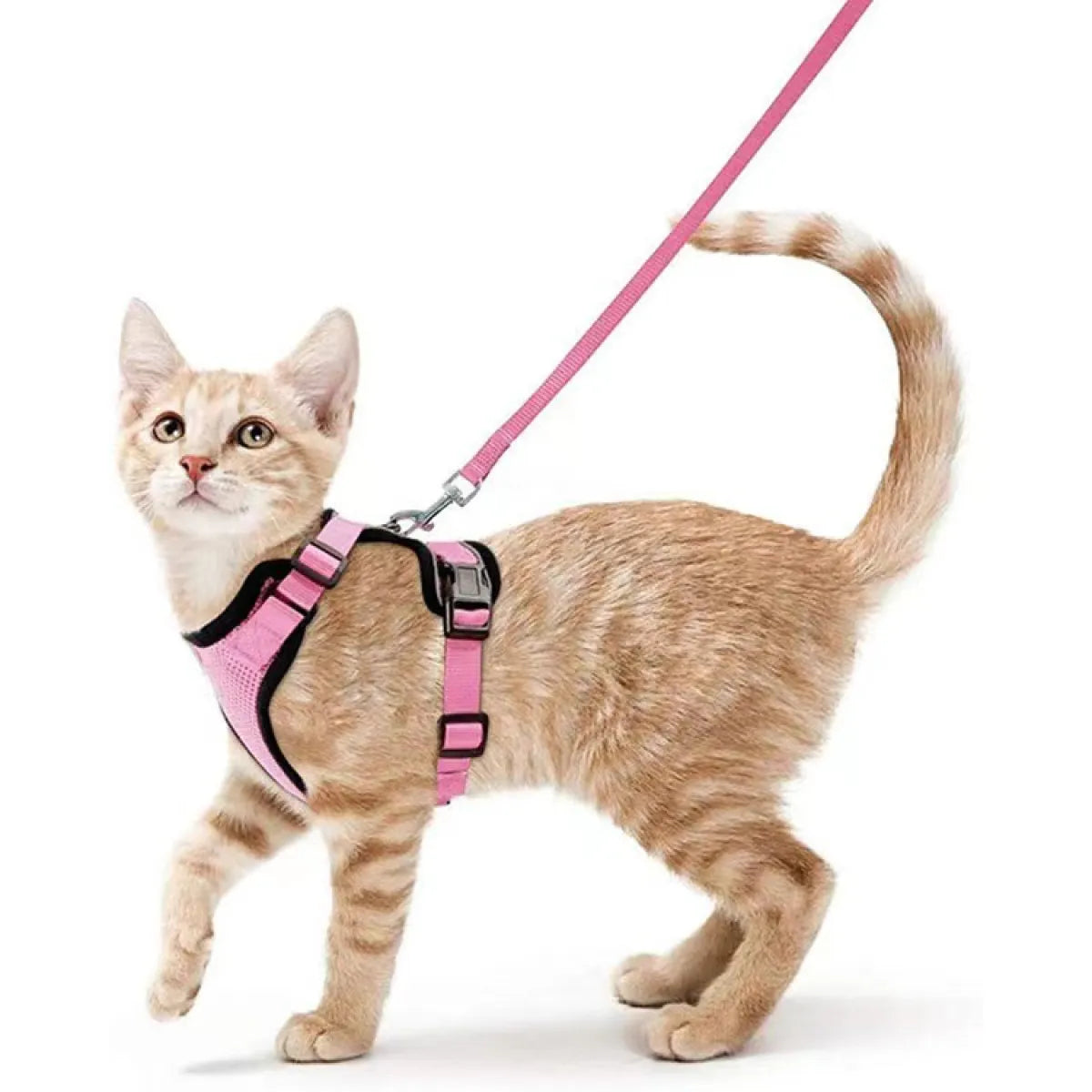 Felinoir™ Cat Harness with Leash
