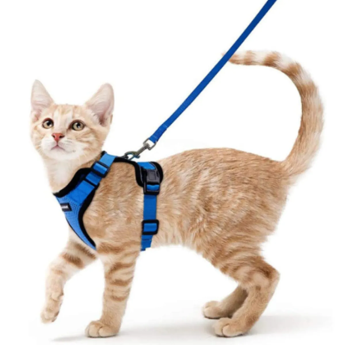 Felinoir™ Cat Harness with Leash
