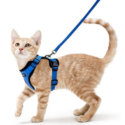 Felinoir™ Cat Harness with Leash