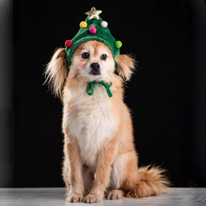 Felinoir™ Christmas Joy Set