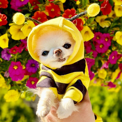 Felinoir™ Pet Bee Costume