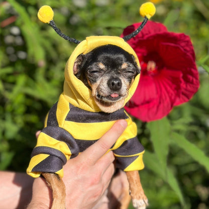 Felinoir™ Pet Bee Costume