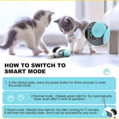 Felinoir™ Smart Electric Cat Toy Car