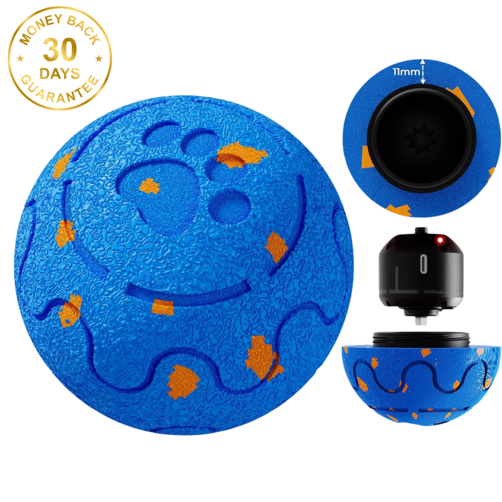 Felinoir SmartPlay Ball™