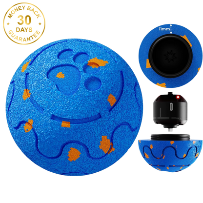 Felinoir SmartPlay Ball™