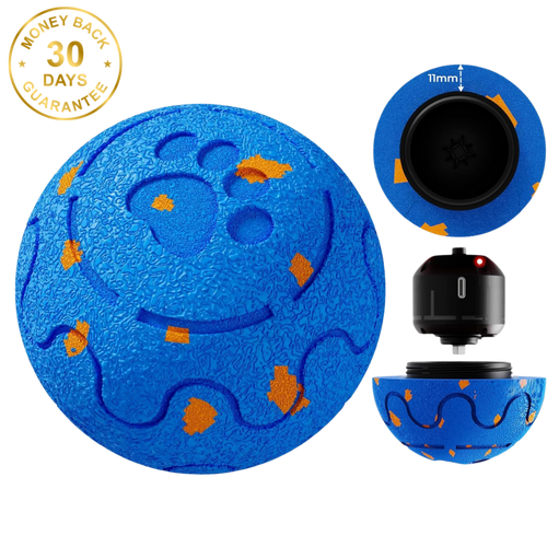 Felinoir SmartPlay Ball™