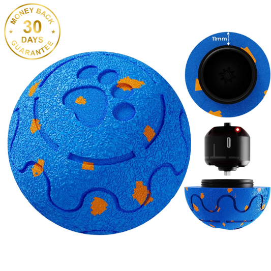 Felinoir SmartPlay Ball™