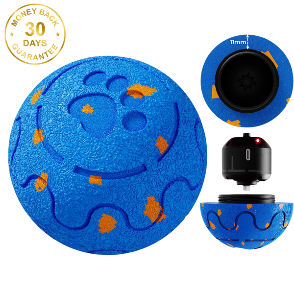 Felinoir SmartPlay Ball™