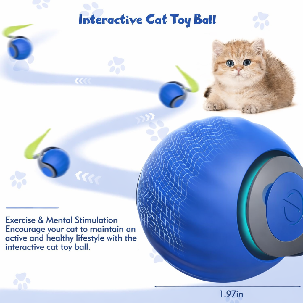 Interactive Cat Toys