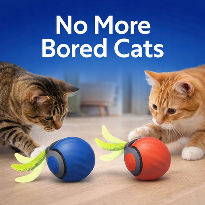 Interactive Cat Toys