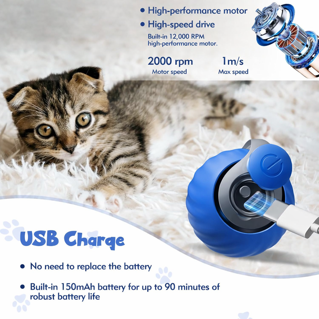 Interactive Cat Toys