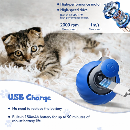 Interactive Cat Toys