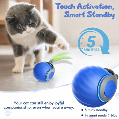 Interactive Cat Toys