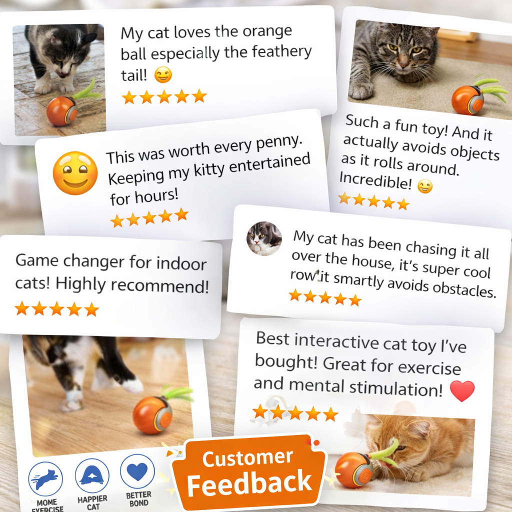 Felinoir™ Interactive Cat Toys