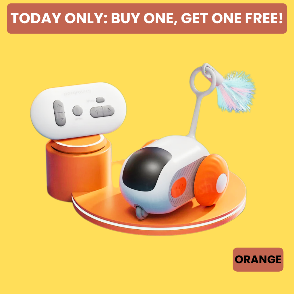 Felinoir™ Smart Electric Cat Toy Car